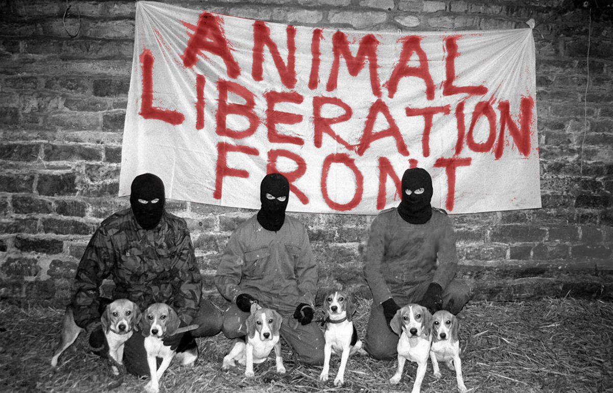 The Animal Liberation Front 
https://www.alfsg.org.uk