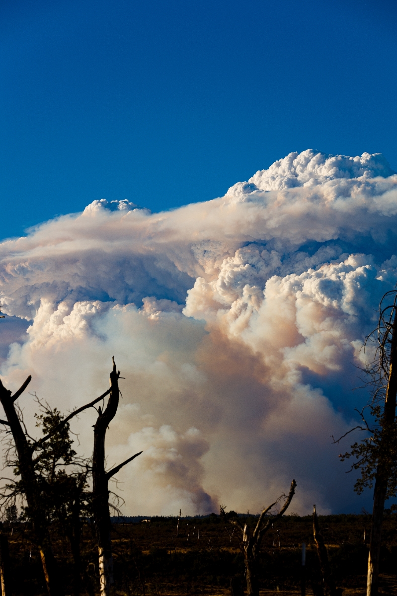 Park Fire, Chico, Ca. 