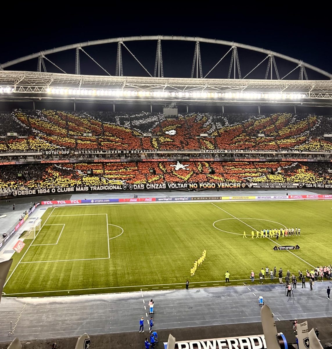 Picture of Botafogo's second Tifo before their game against Palmeiras at the Nilton Santos Olympic stadium. The birds eyes and the star in the middle were somehow made of LED lights-- how they did that? I dont know but it is sooo badass.