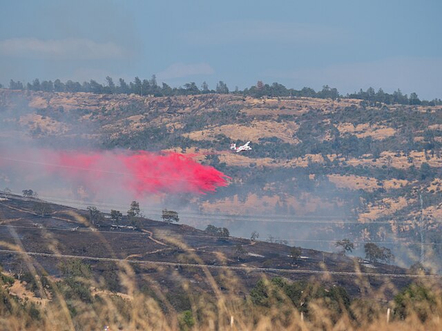 Park fire upper Bidwell Park pic via wikimediacommons 