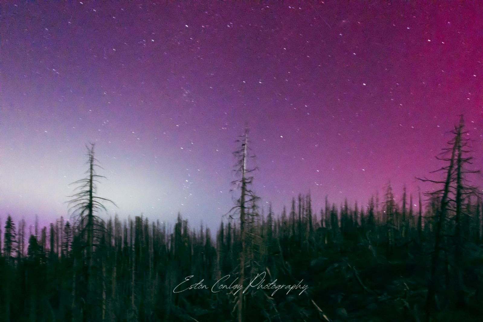 Northern Lights, Taken in Northern California 