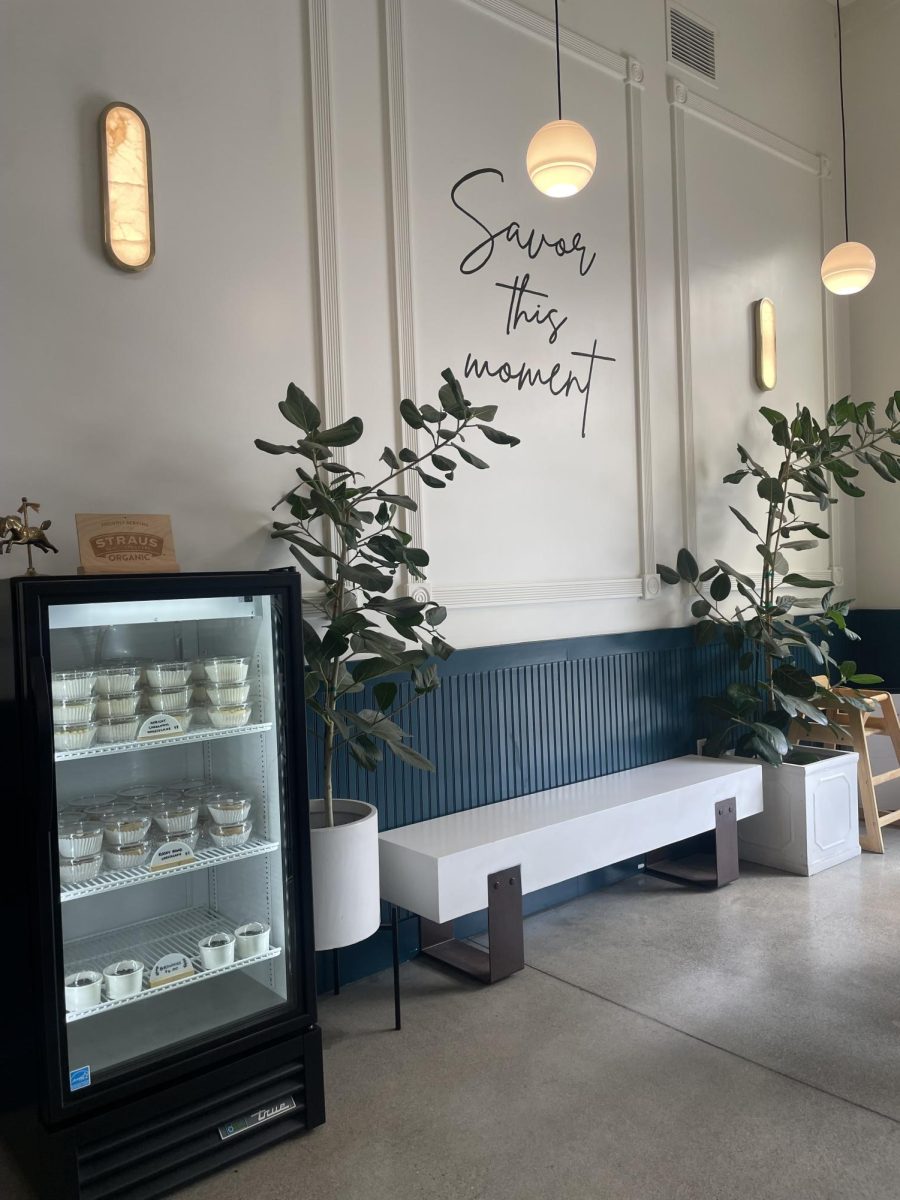 Welcoming seating area decorated with lively plants and dim lights; Savor Ice Cream Shop; Meriam Park Chico; September 16, 2024