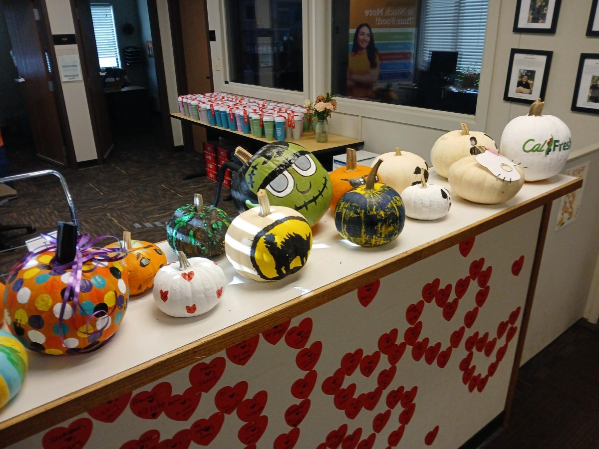 Halloween Painted Pumpkins, Roadrunner Hub, Butte College Main Campus, Nov. 14, 2024, Juan Valencia