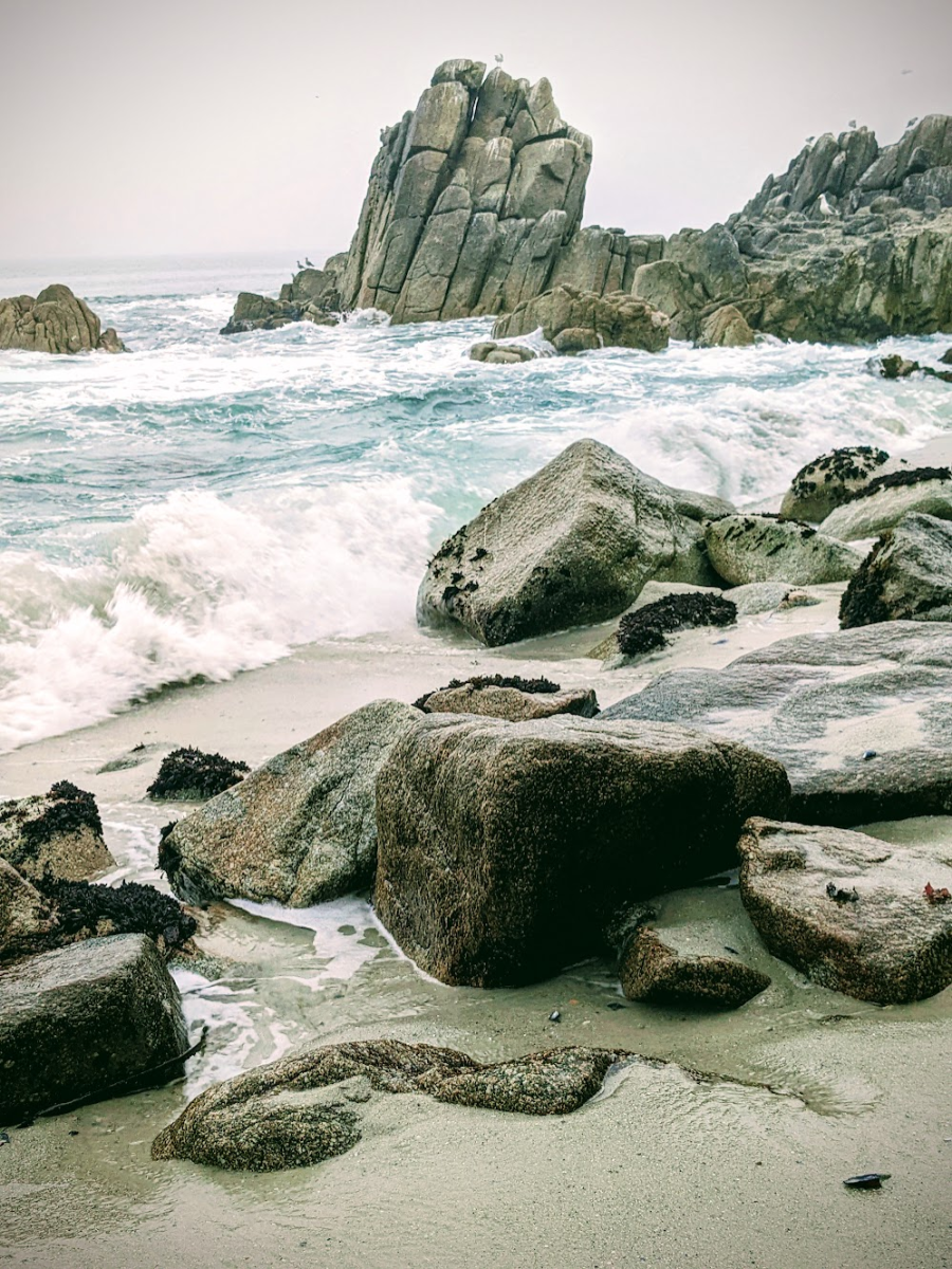 This photo was taken at Lover’s Point Beach in Pacific Grove, California on 10/22/22. This was the first time the photographer had ever seen the ocean in person. 