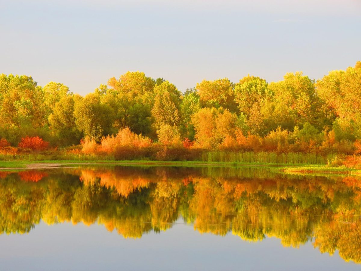 Oroville Wildlife Area at sunset August 29, 2016. The fall color reflects off rippling water.
