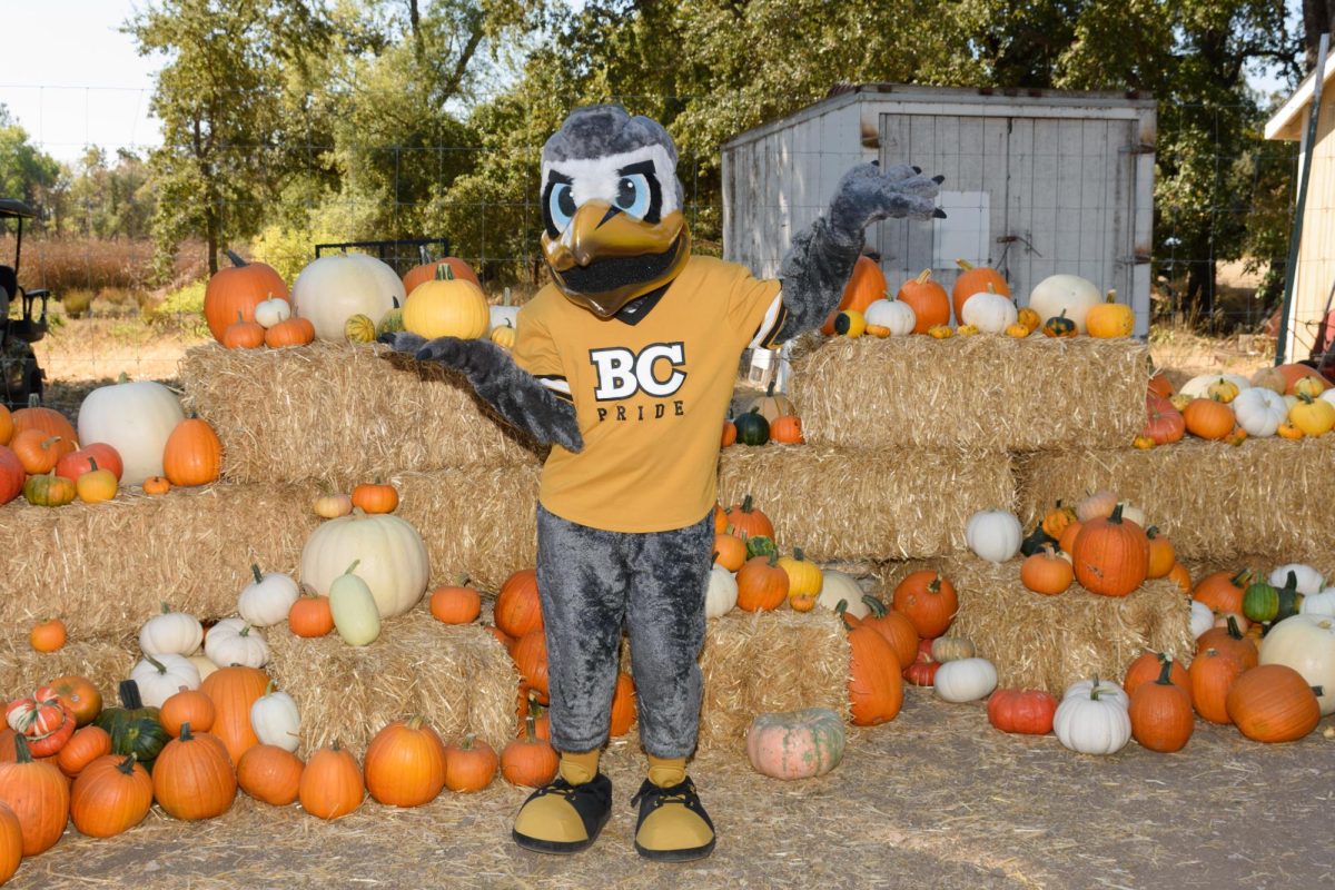 Harvest Festival at Butte College 