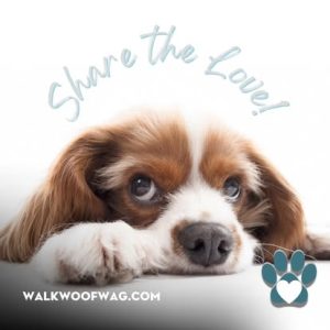 Courtesy of Walk Woof Wag website, June 28, 2025