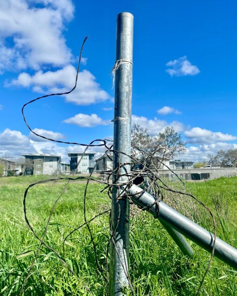 A still picture, a metal pole, part of an old fence in the center of the frame, along with old rusted barbed wire wrapped around it. A blue sky with a few white cloud in the background, along with tall green grass and housing afar. 