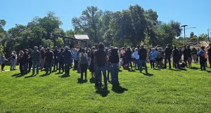 Dozens of people standing on green grass. There are trees in the background with a clear blue sky