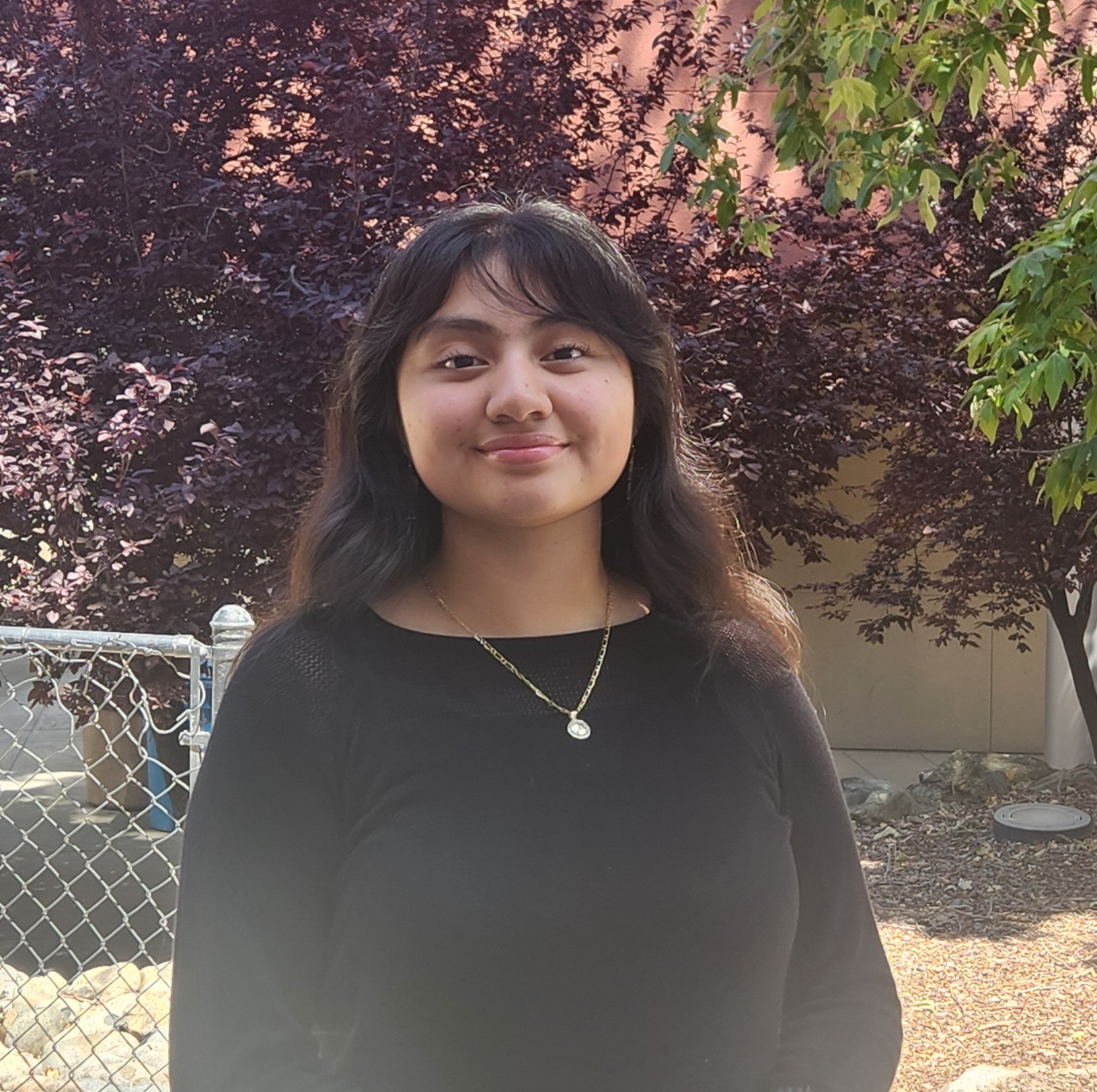MESA students awarded internship and research opportunities in STEM